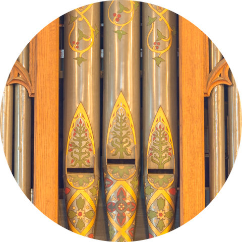 Organ Appeal 2025