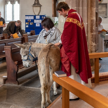 Palm Sunday 2019